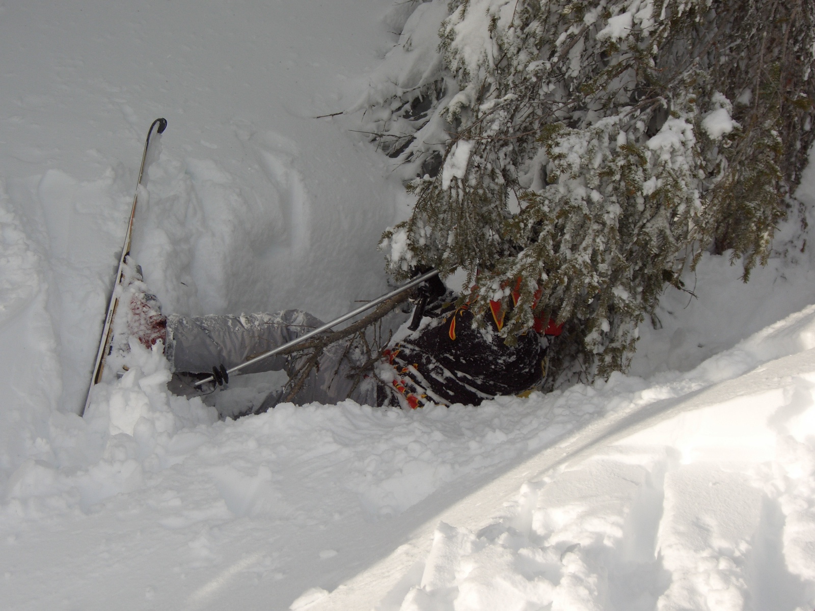 Schladming 12/08